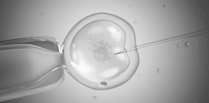 Understanding IVF - In Vitro Fertilisation