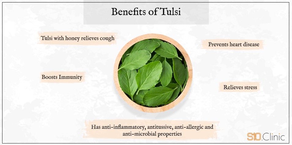 Benefits of Tulsi