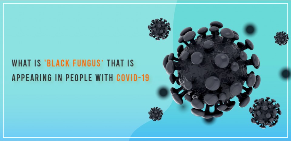 What is 'Black Fungus’ that is appearing in people with covid-19