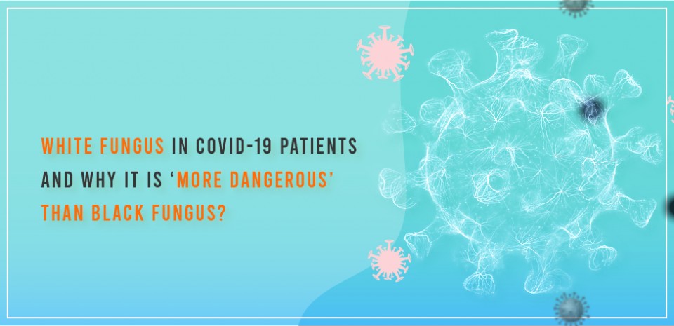White fungus in COVID-19 patients and why it is ‘more dangerous’ than black fungus?