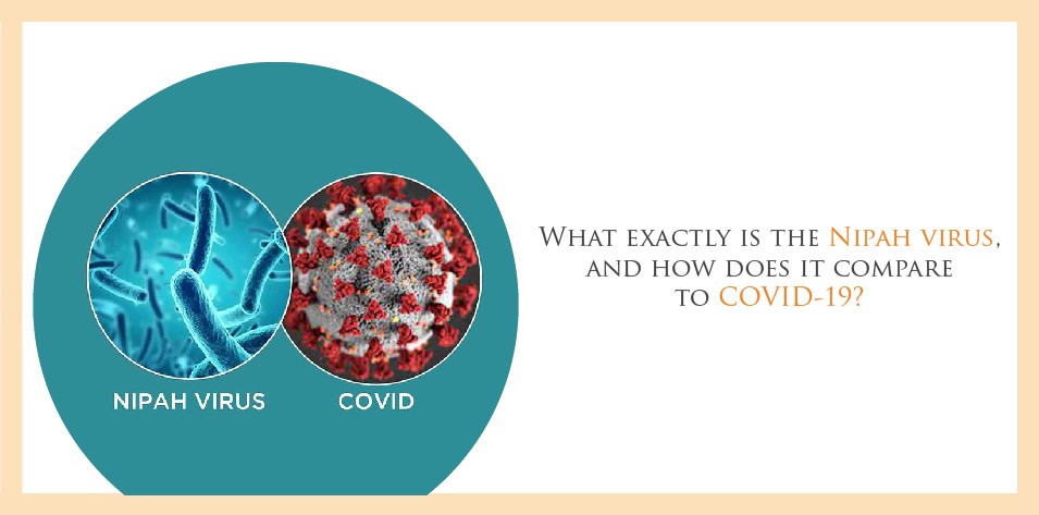 What exactly is the Nipah virus, and how does it compare to COVID-19?