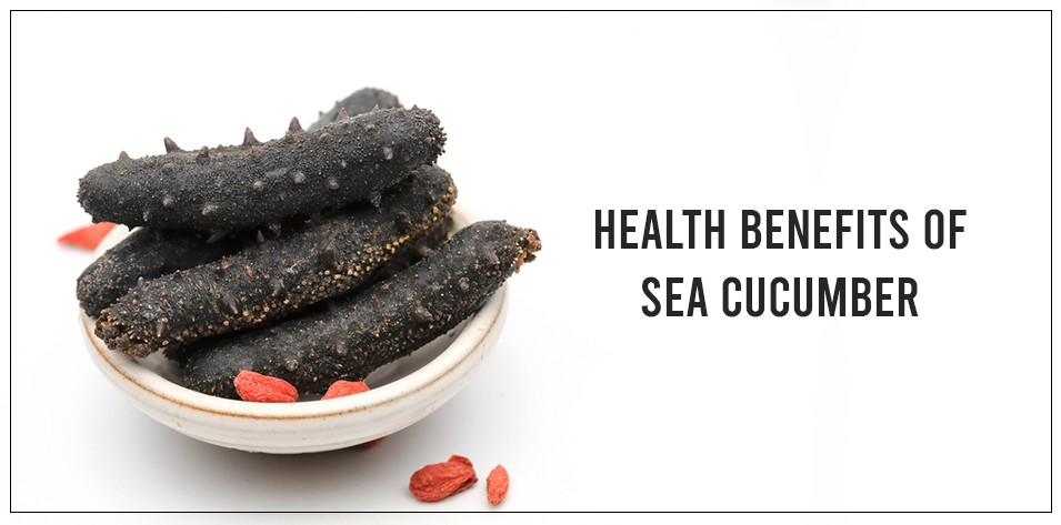 Health Benefits of Sea Cucumber