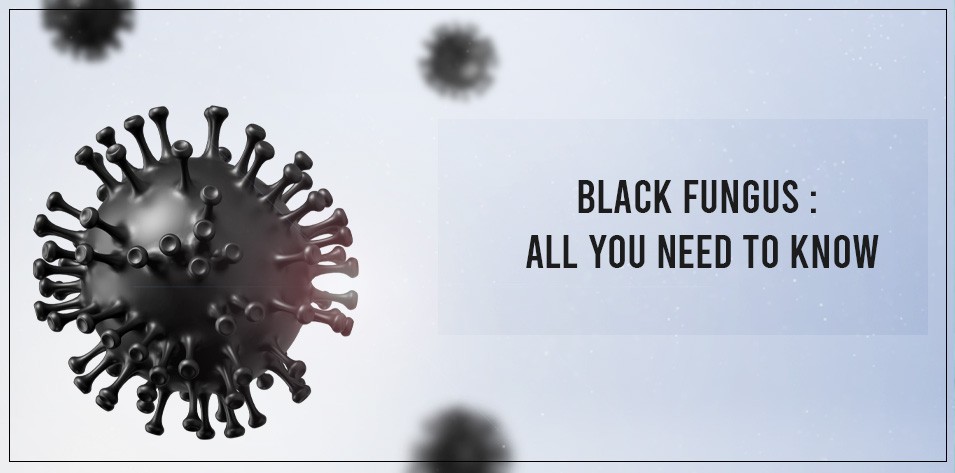 Black fungus: All you need to know 
