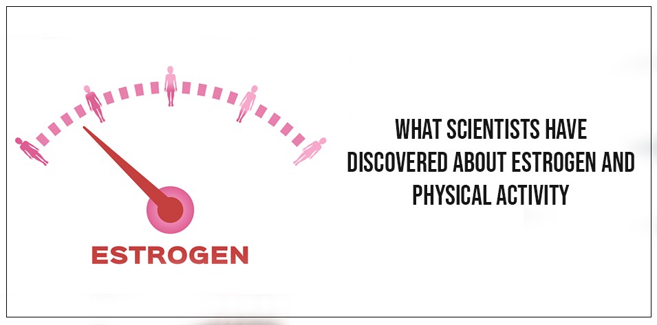 What scientist have Discovered About Estrogen and Physical Activity 