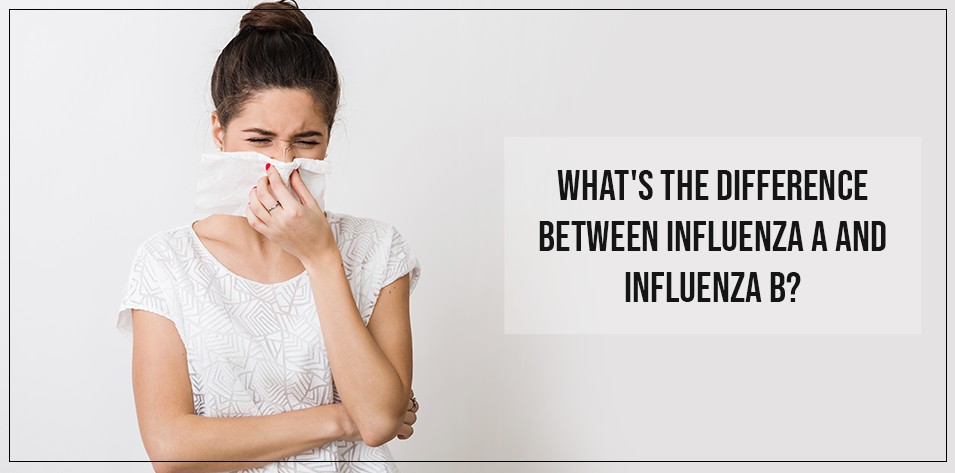 What's the difference between Influenza A and Influenza B?