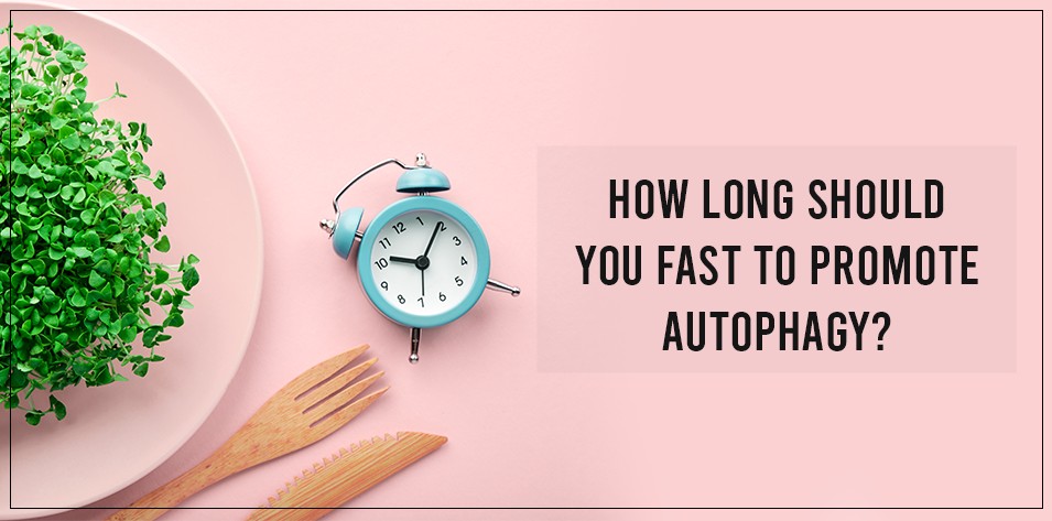 How Long Should You Fast for Autophagy?