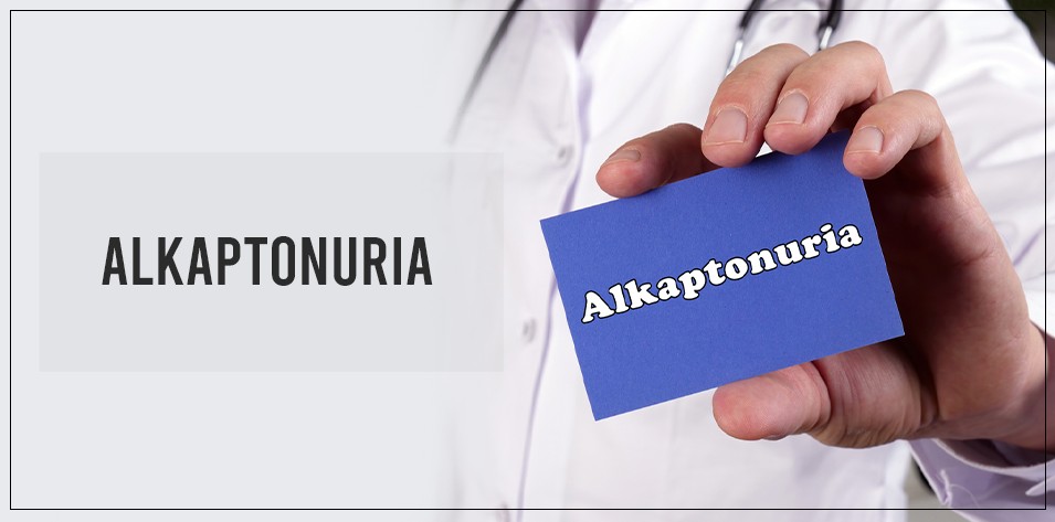 How does alkaptonuria affect the human body?