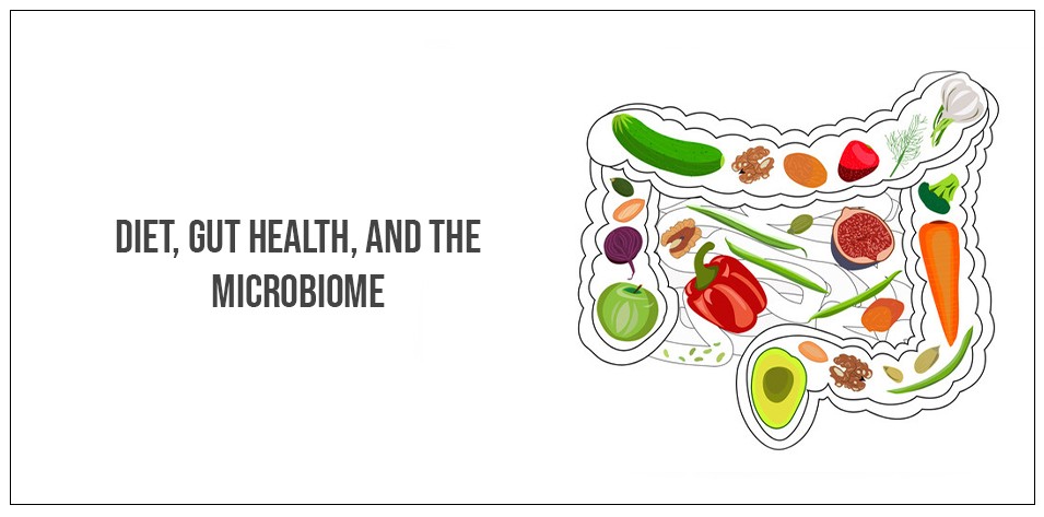 Diet, gut health, and the microbiome