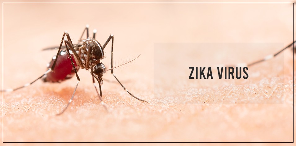 Is Zika virus contagious?