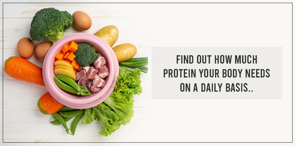 Find out how much protein your body needs on a daily basis